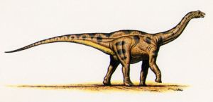 rw_apatosaurus