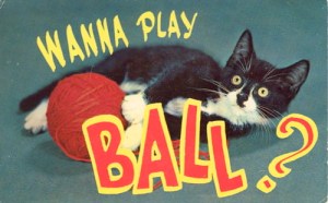 playballkitten
