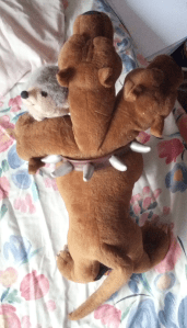 Toys have been moved into better light but not otherwise messed with.